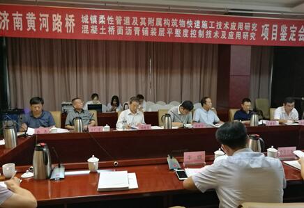 大三湘集團周新平董事長